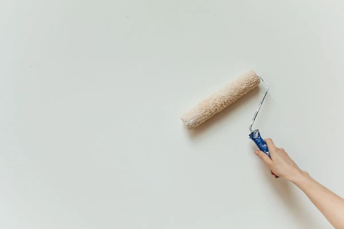Stock close-up photo of a paint roller on a wall